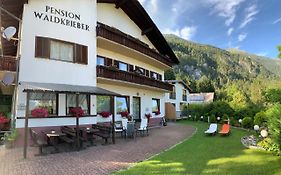 Pension & Apartments Waldkrieber